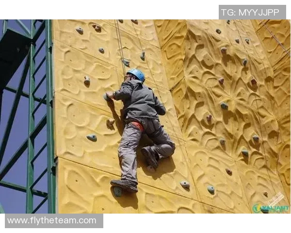 武汉攀岩队在全国攀岩团队协作排行榜中荣获第十名的佳绩 武汉攀岩队在全国攀岩团队协作排行榜中荣获第十名的佳绩